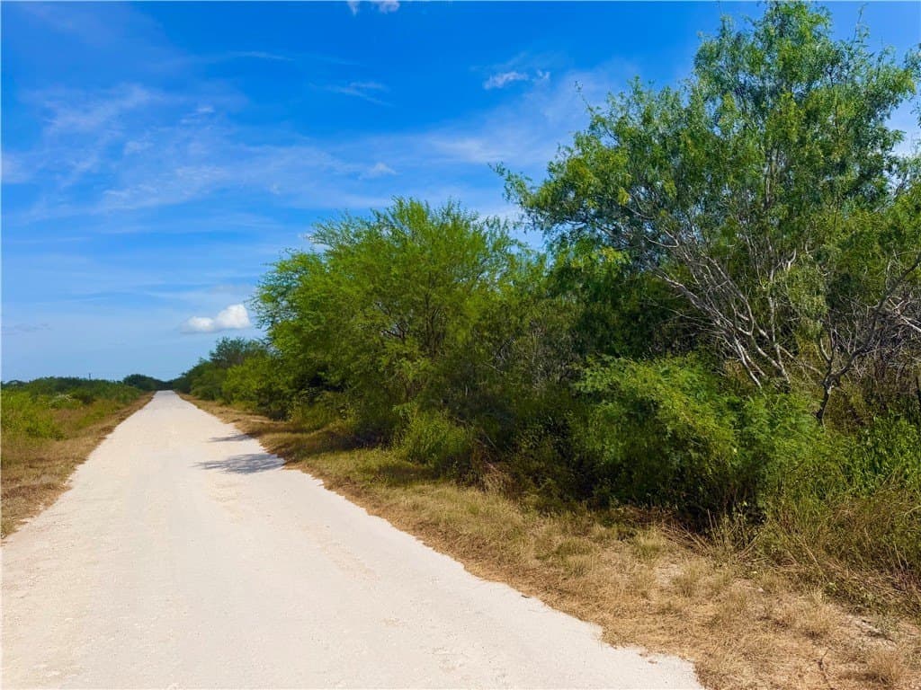13.2 acres in Duval County gallery image 2