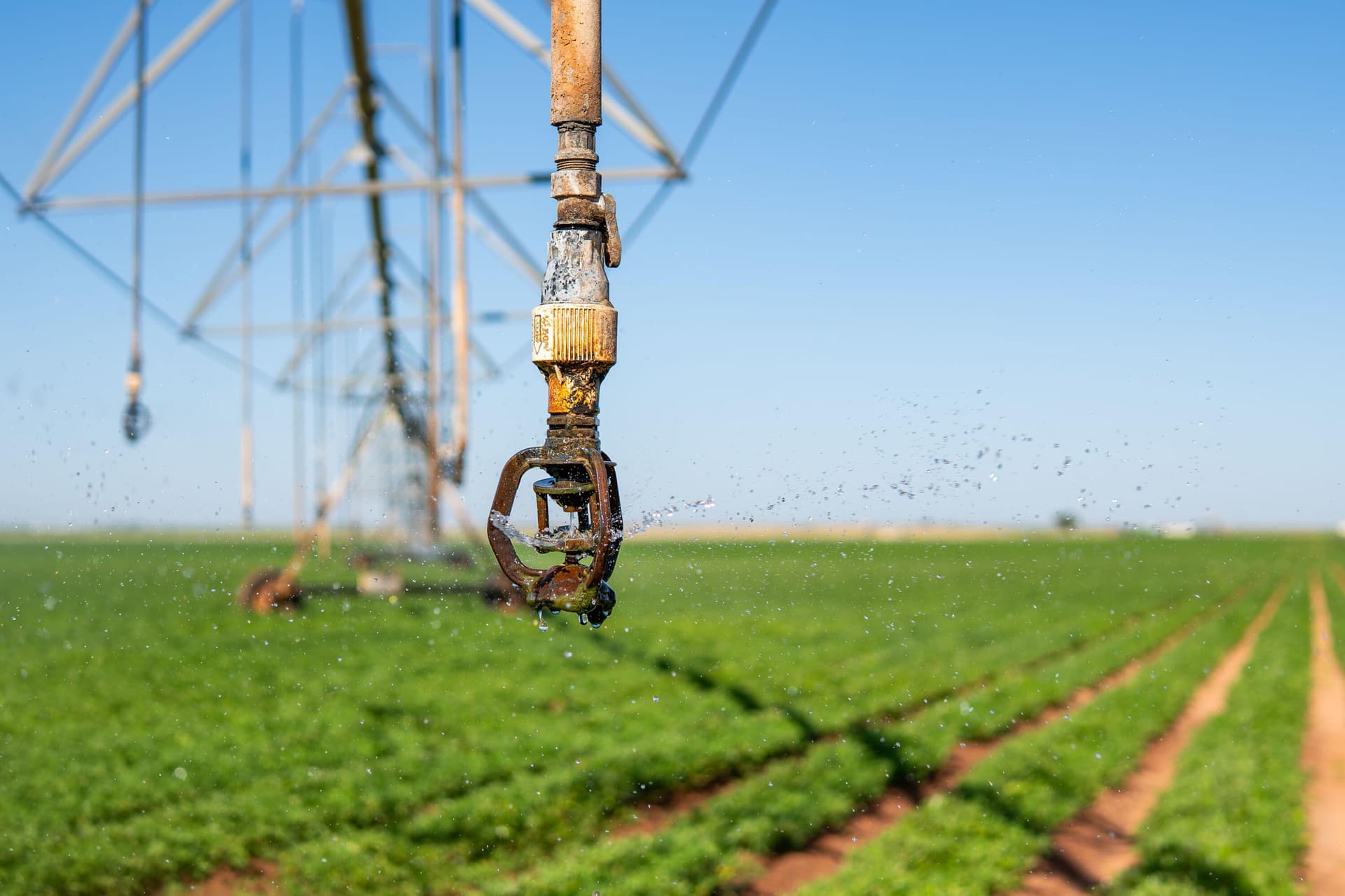292 acres in Gaines County gallery image 4