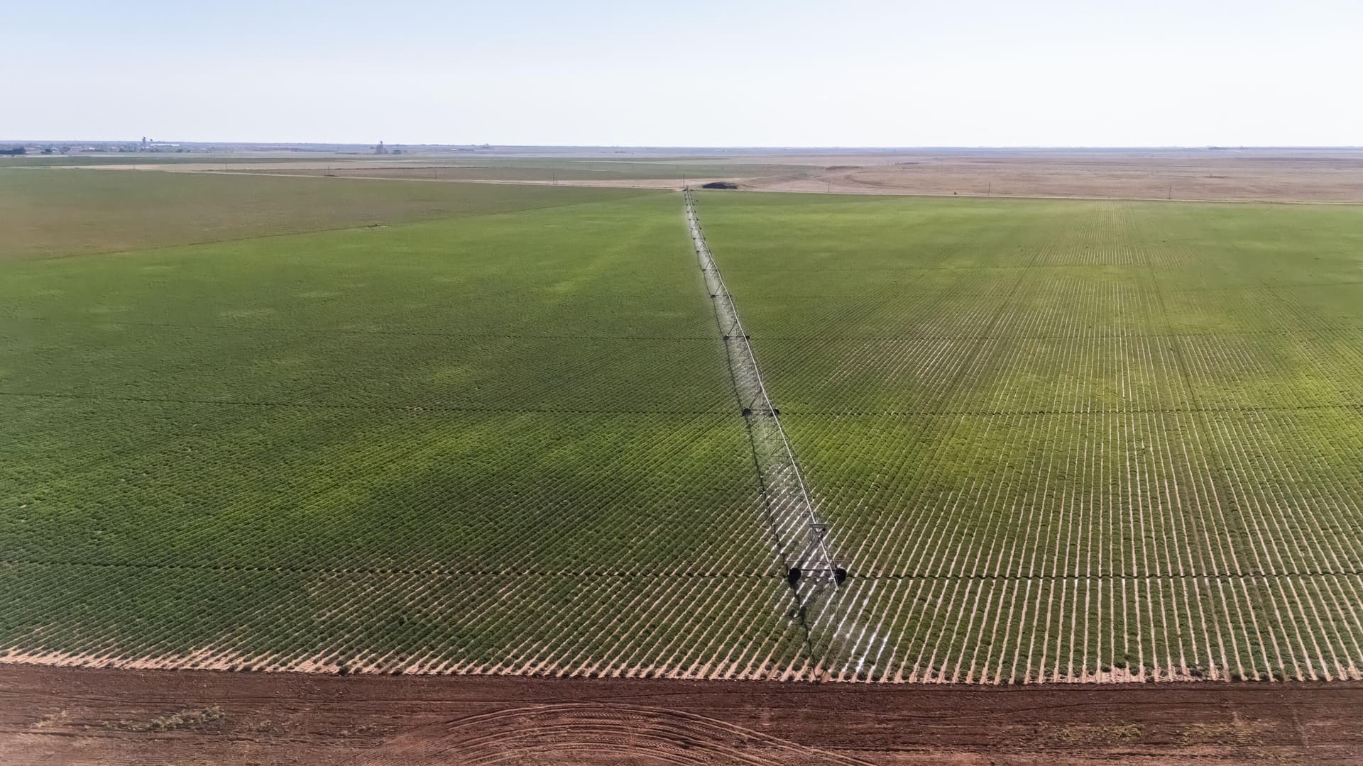 292 acres in Gaines County gallery image 2