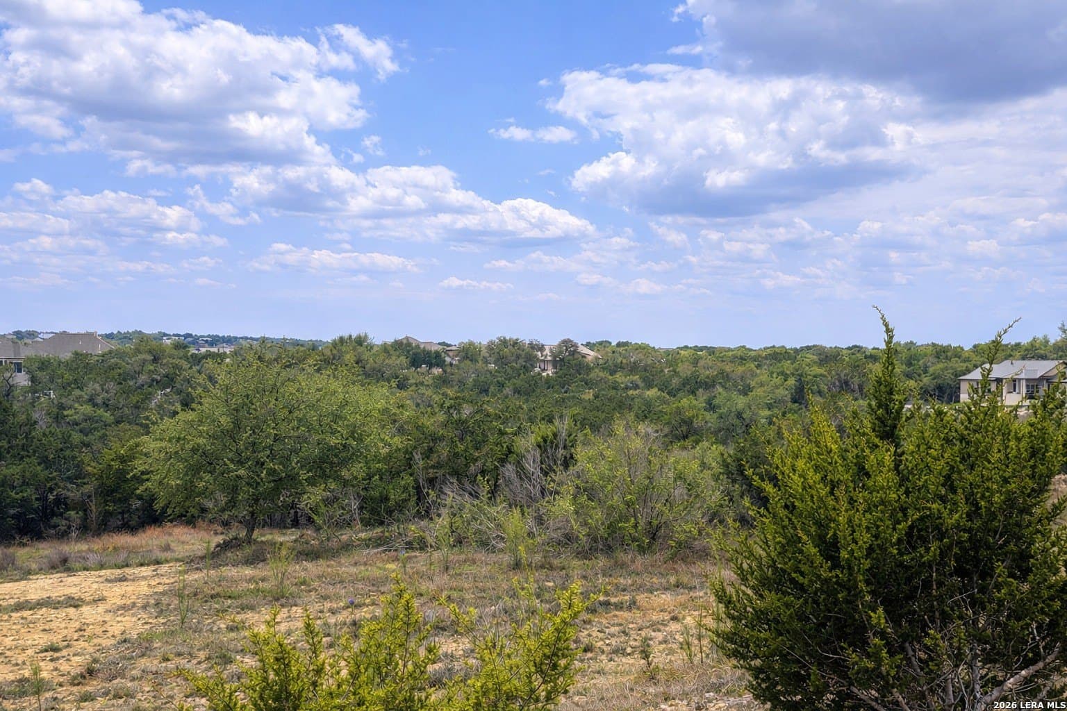 1.4 acres in Comal County gallery image 3