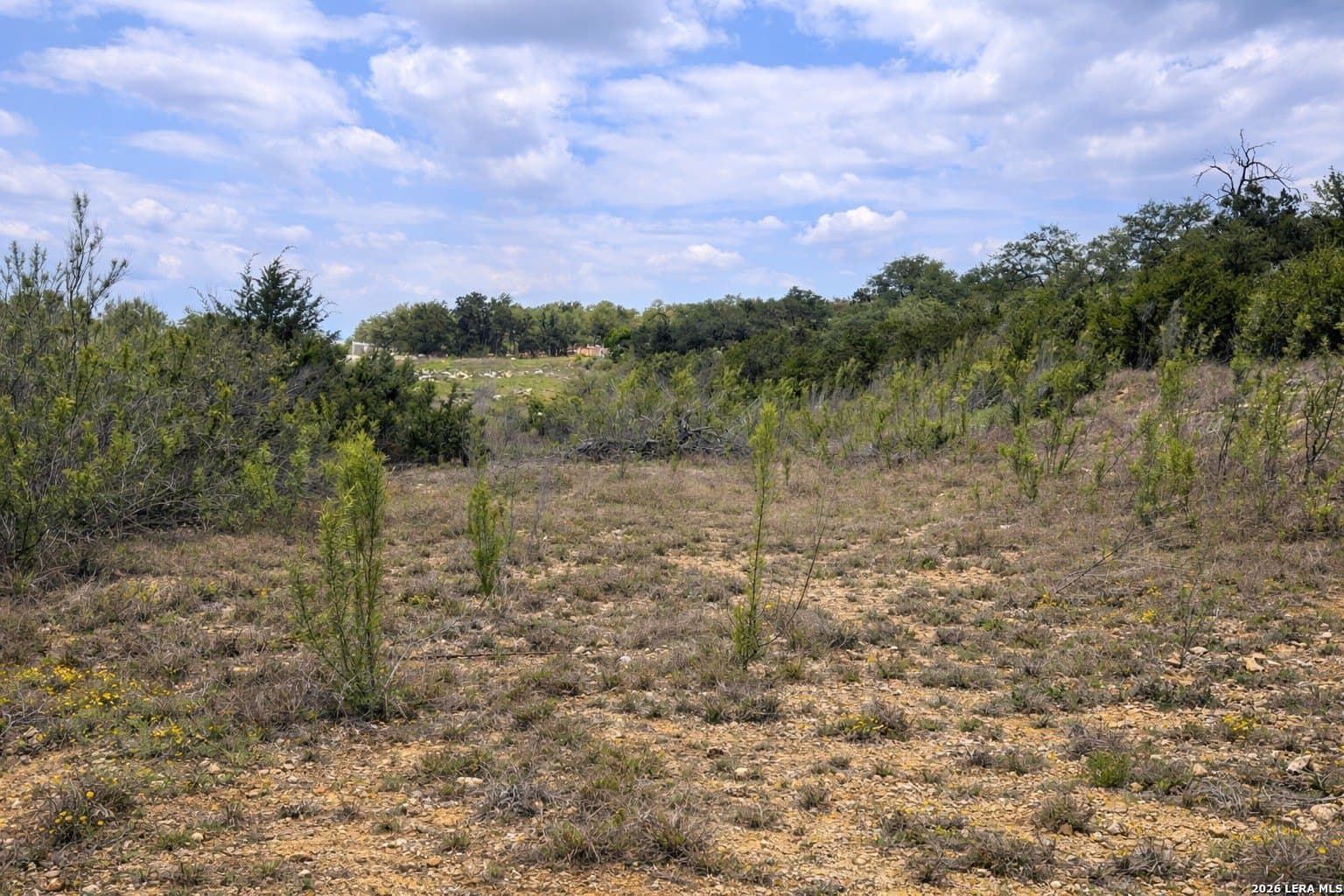 1.4 acres in Comal County gallery image 4