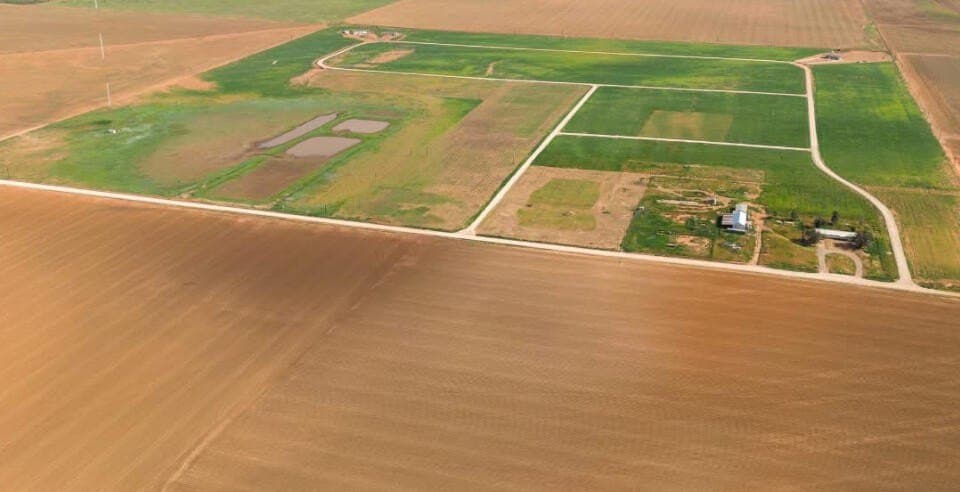1 acres in Hockley County