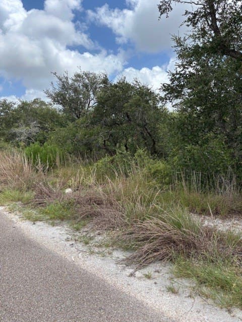 0 acres in Texas County gallery image 3