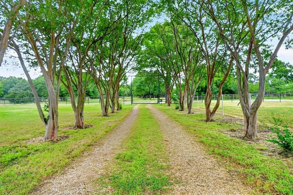 10 acres in Van Zandt County gallery image 2