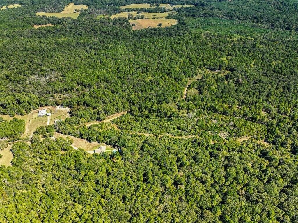 88 acres in ANDERSON County - photo 8