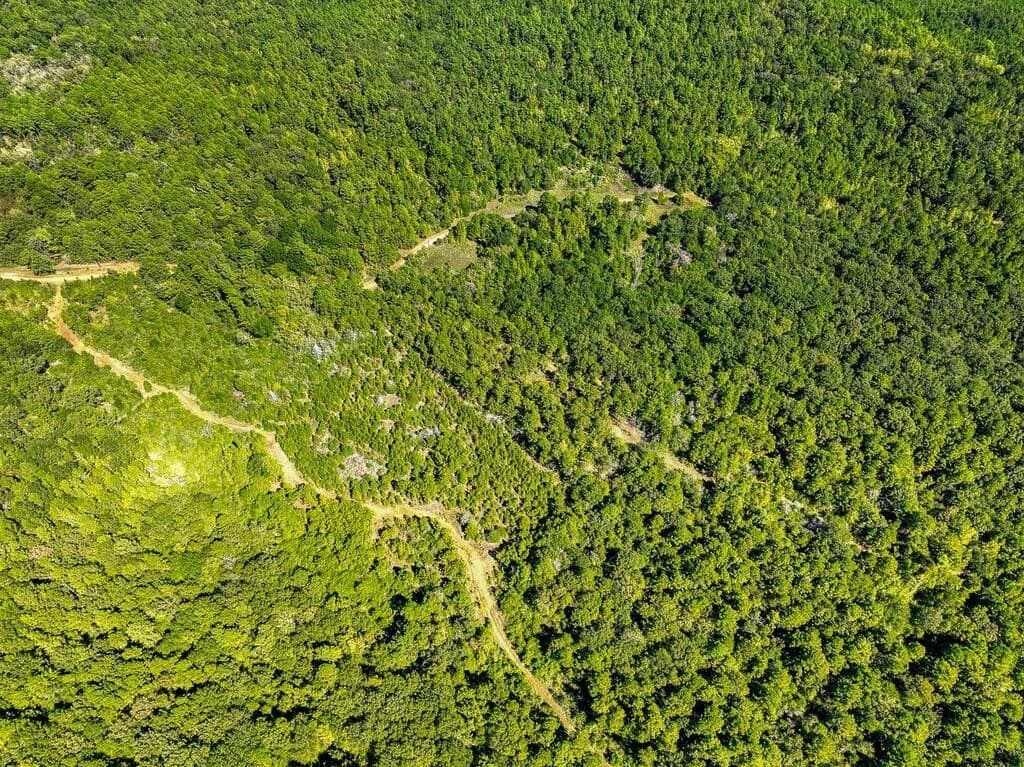 88 acres in ANDERSON County - photo 19