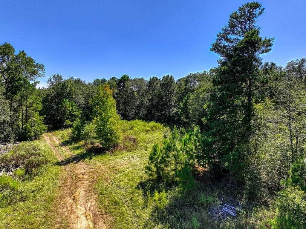 88 acres in ANDERSON County - photo 22