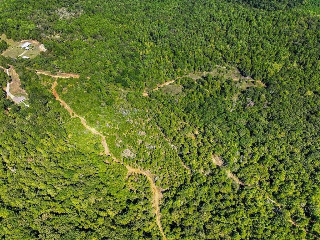 88 acres in ANDERSON County - photo 18