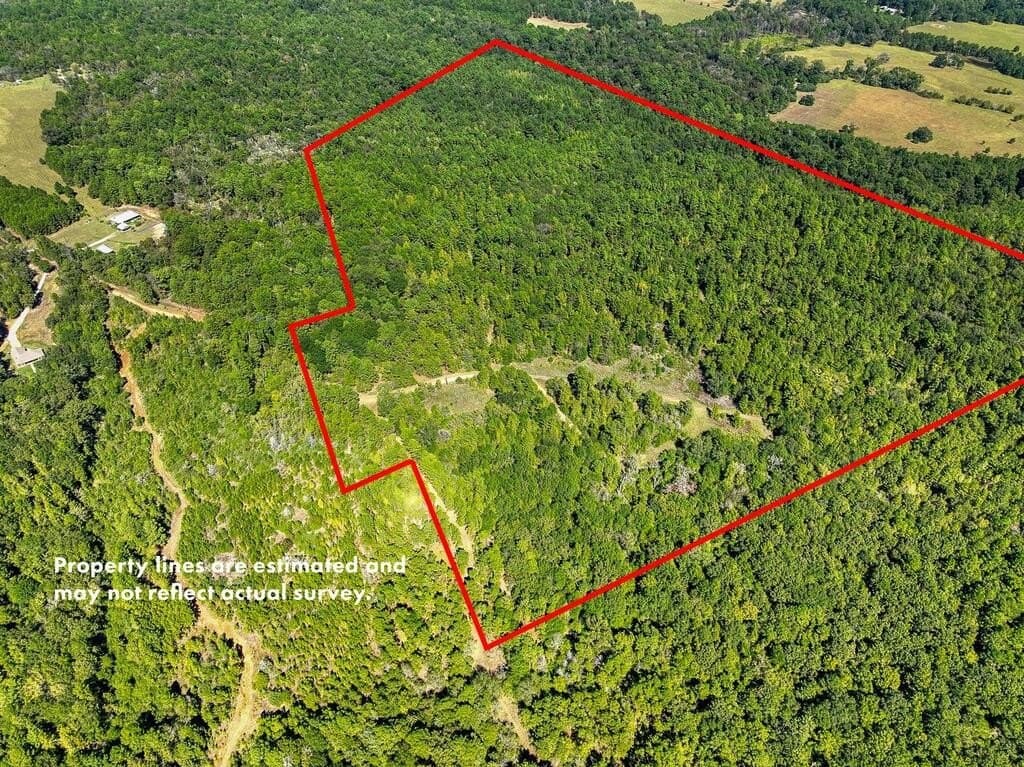 88 acres in ANDERSON County - photo 2