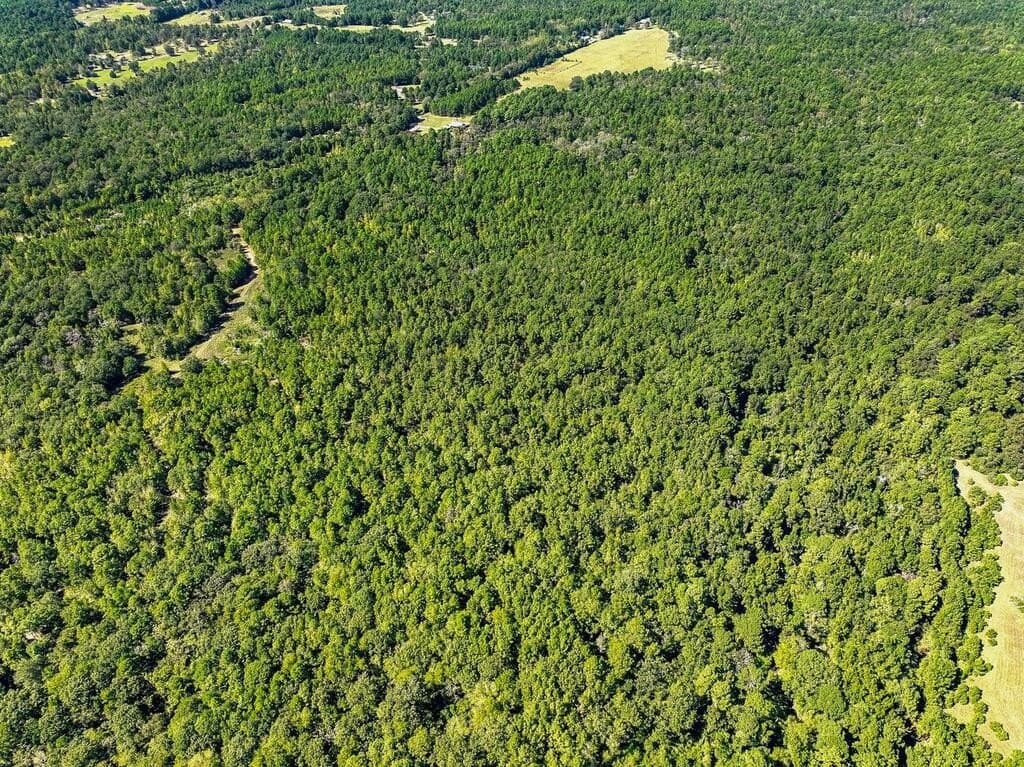 88 acres in ANDERSON County - photo 13