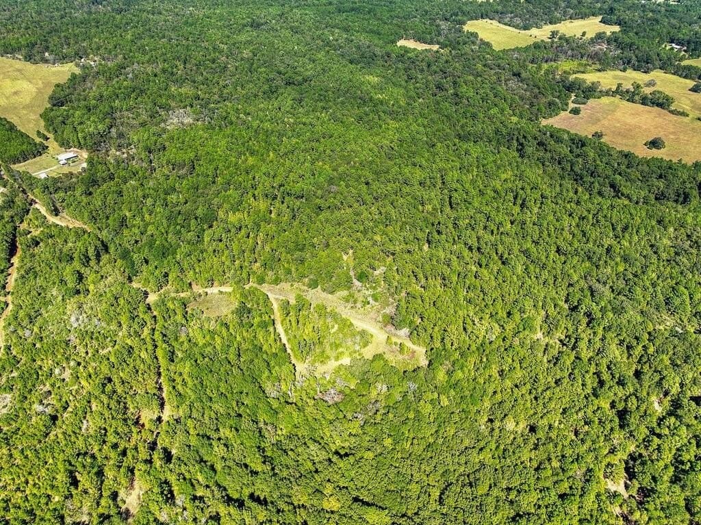 88 acres in ANDERSON County - photo 16