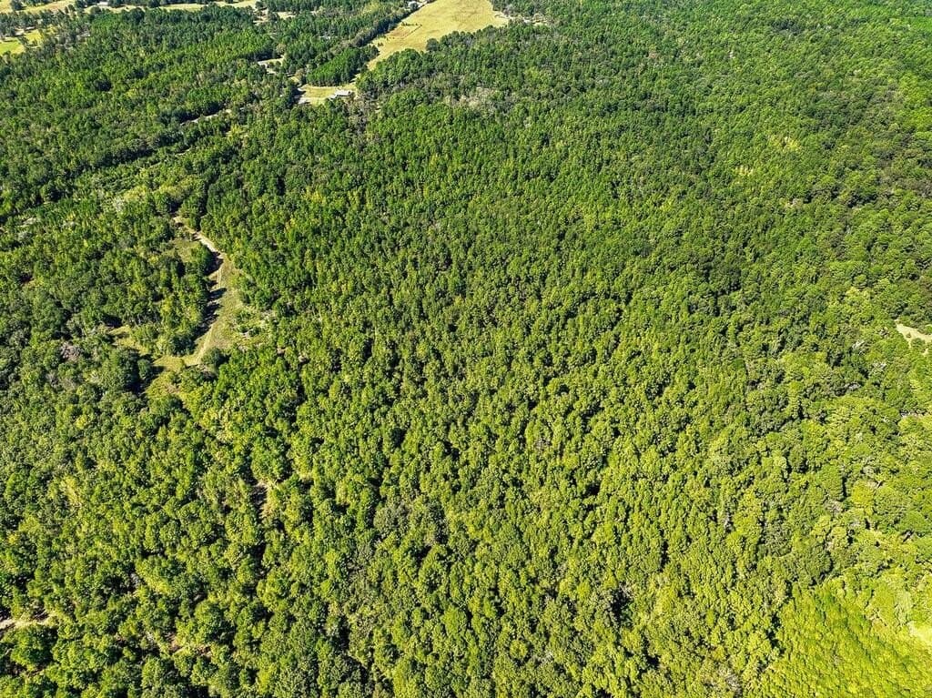 88 acres in ANDERSON County
