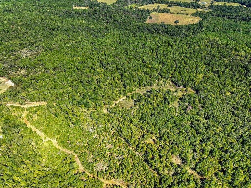 88 acres in ANDERSON County - photo 5