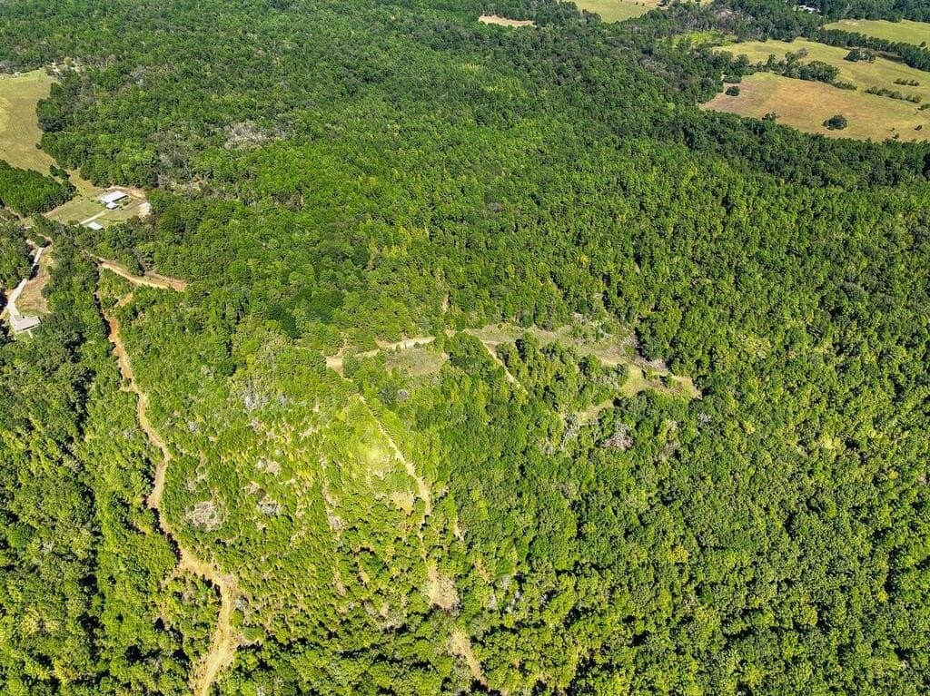 88 acres in ANDERSON County - photo 17