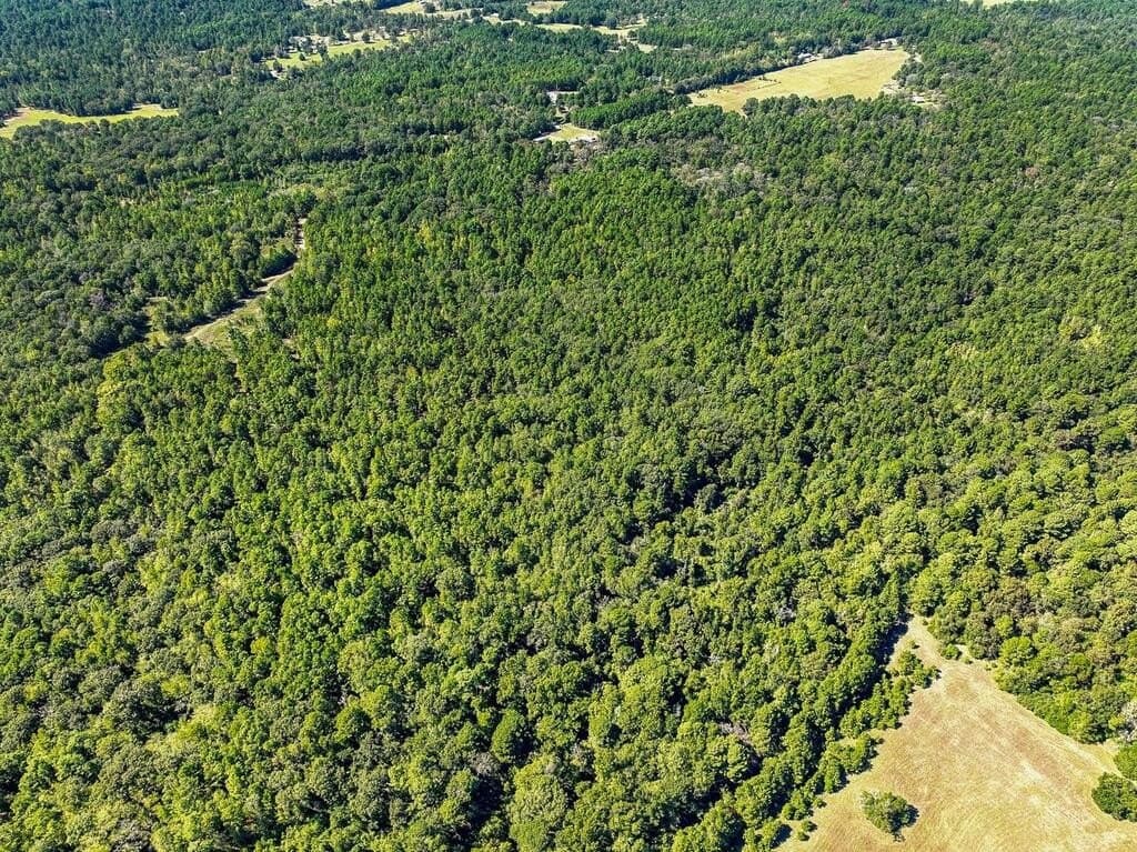 88 acres in ANDERSON County - photo 12