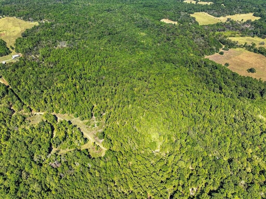 88 acres in ANDERSON County - photo 15