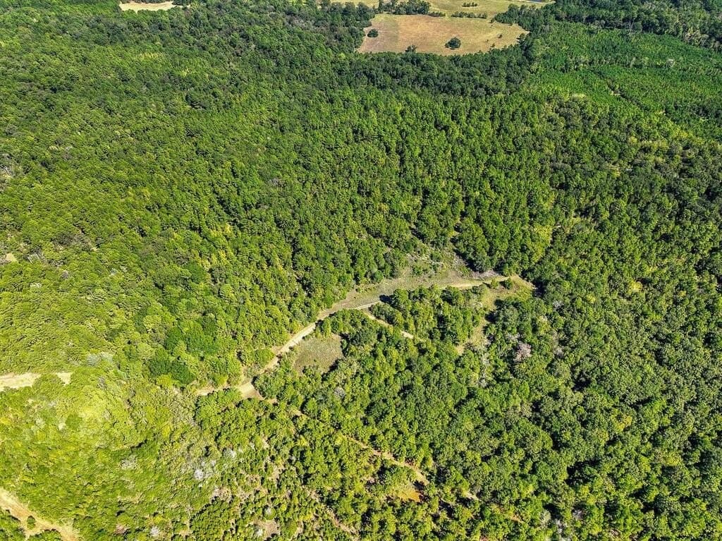 88 acres in ANDERSON County - photo 4