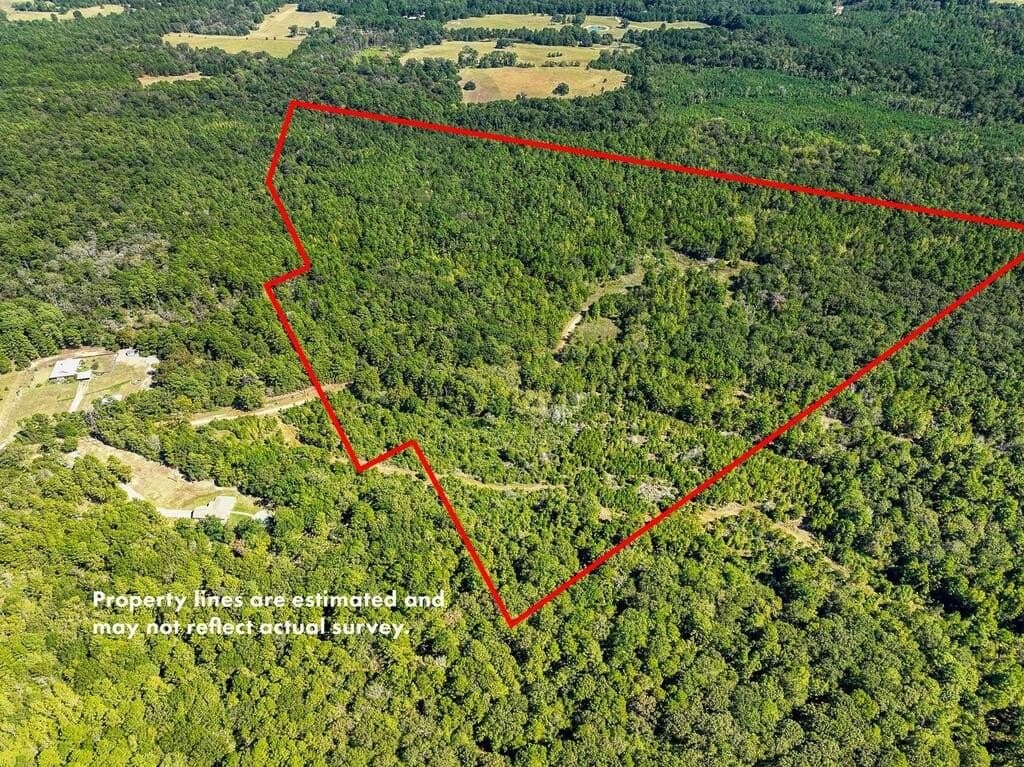 88 acres in ANDERSON County - photo 3