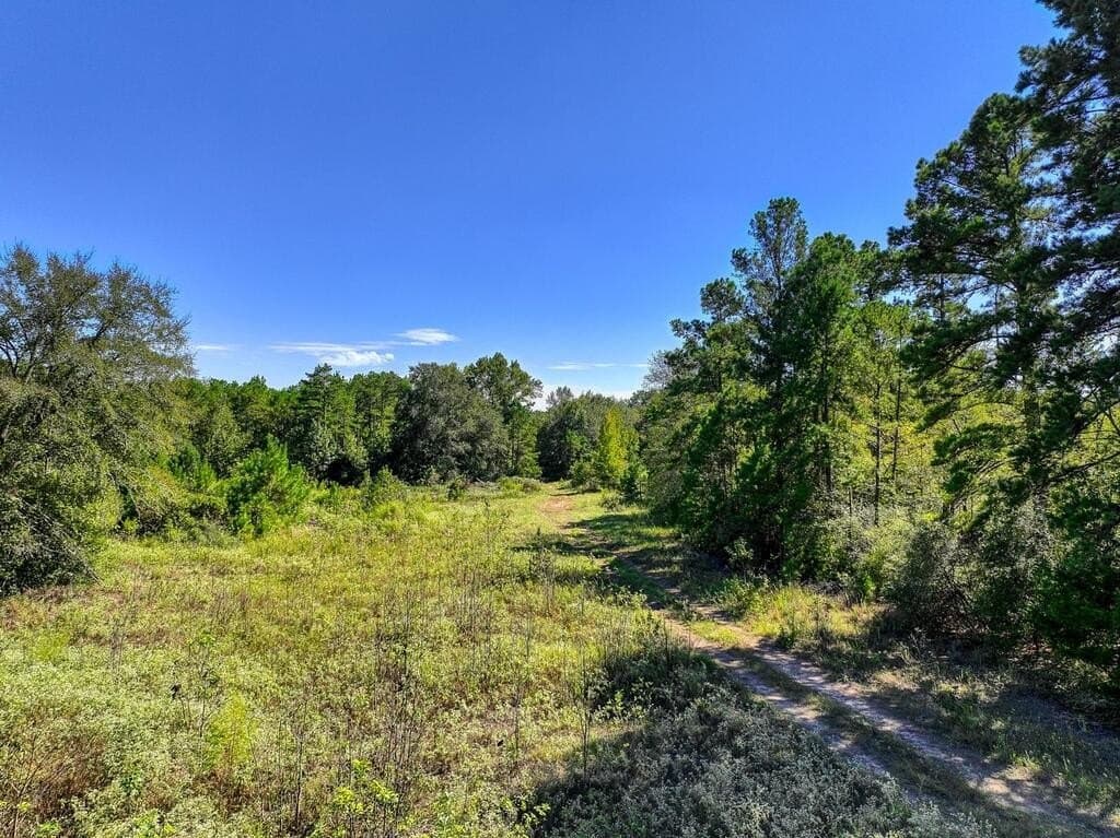 88 acres in ANDERSON County - photo 21
