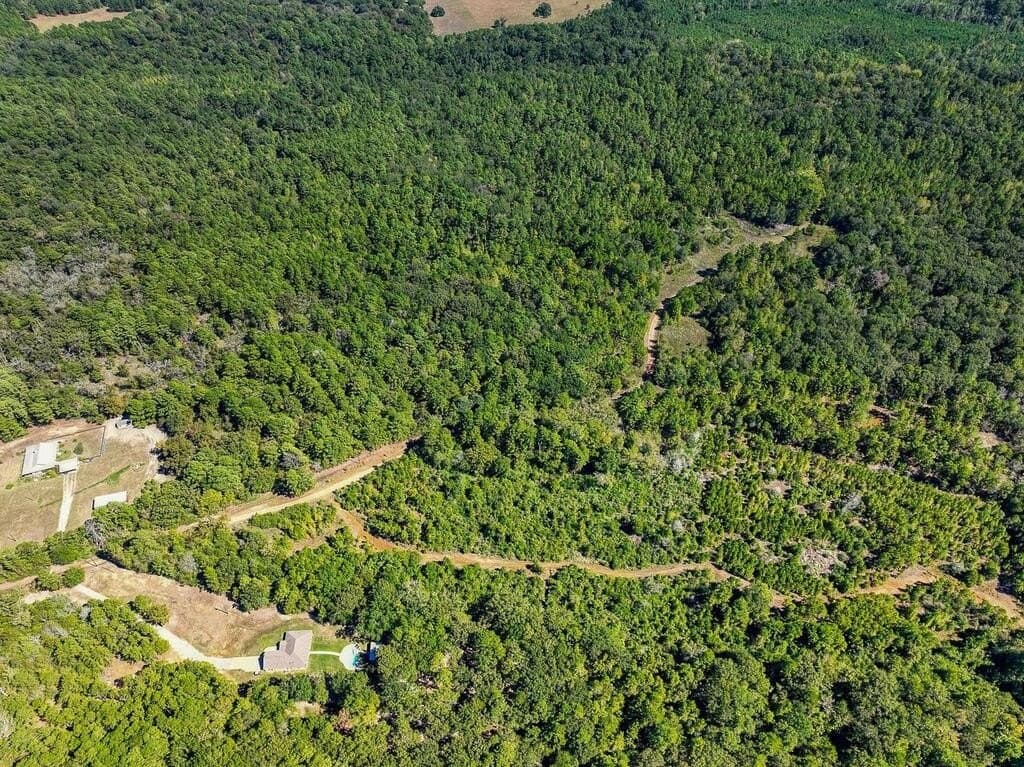 88 acres in ANDERSON County - photo 9
