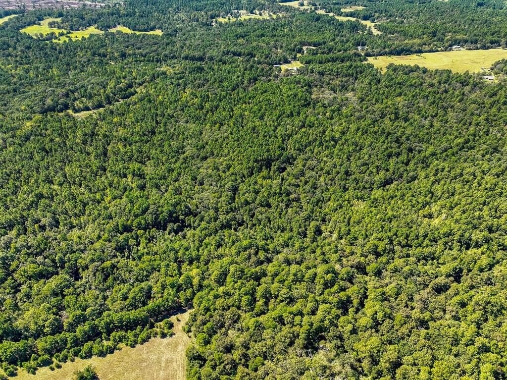 88 acres in ANDERSON County - photo 11