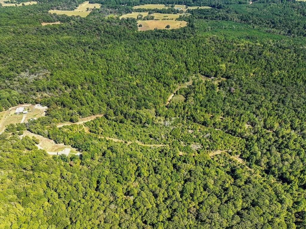 88 acres in ANDERSON County - photo 7
