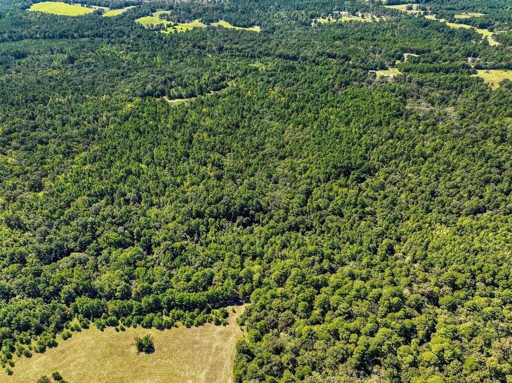 88 acres in ANDERSON County - photo 10