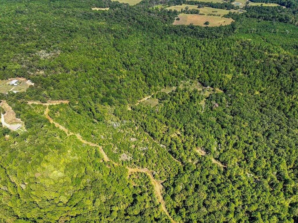 88 acres in ANDERSON County - photo 6