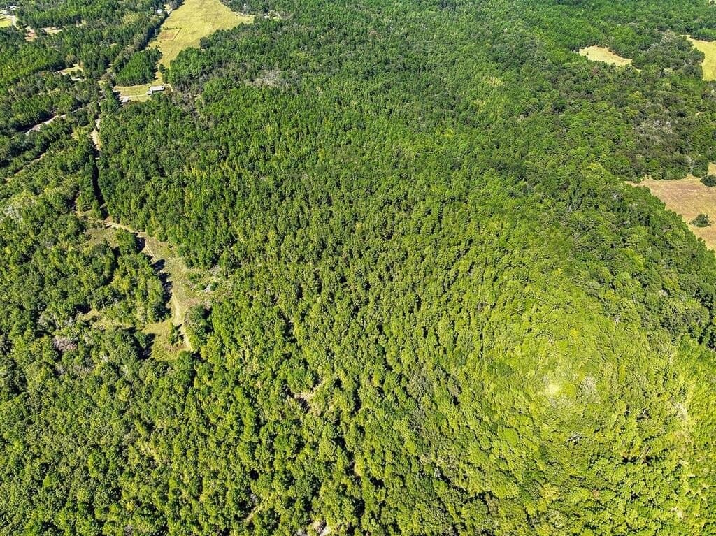 88 acres in ANDERSON County - photo 14