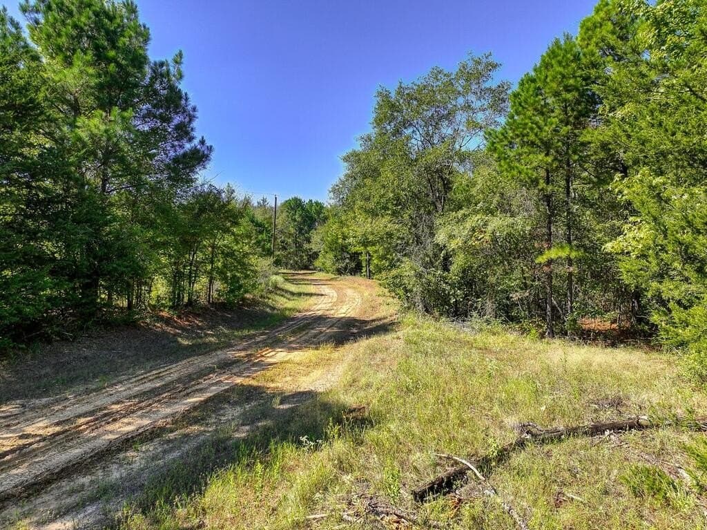 88 acres in ANDERSON County - photo 20