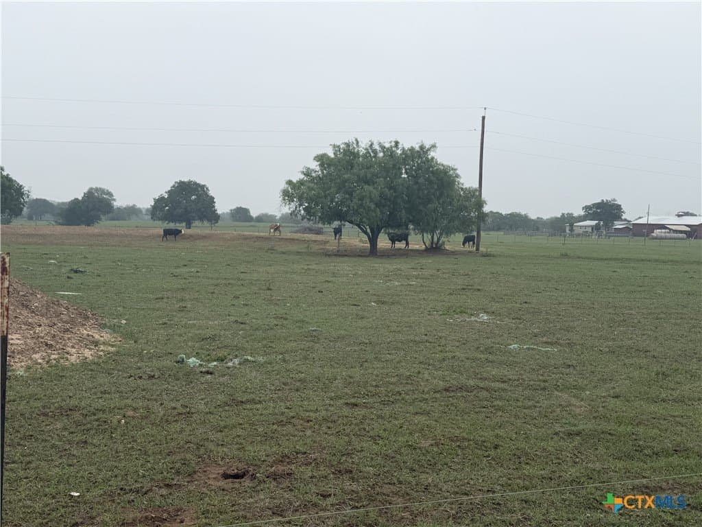 17.27 acres in Guadalupe County gallery image 3