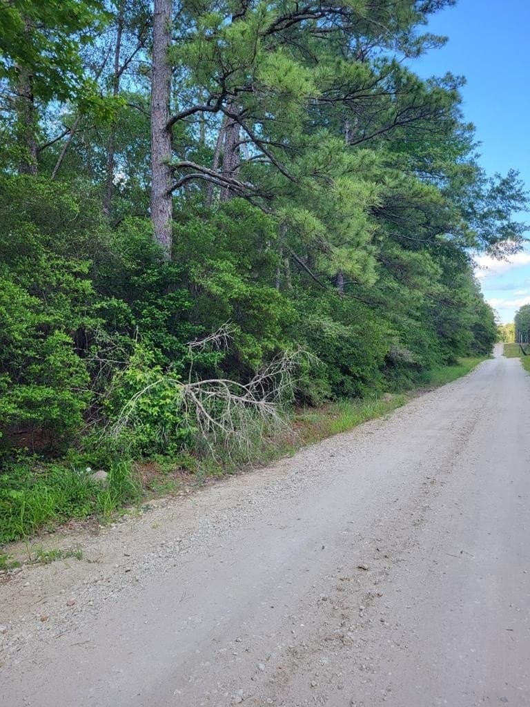 11.93 acres in Texas County gallery image 3