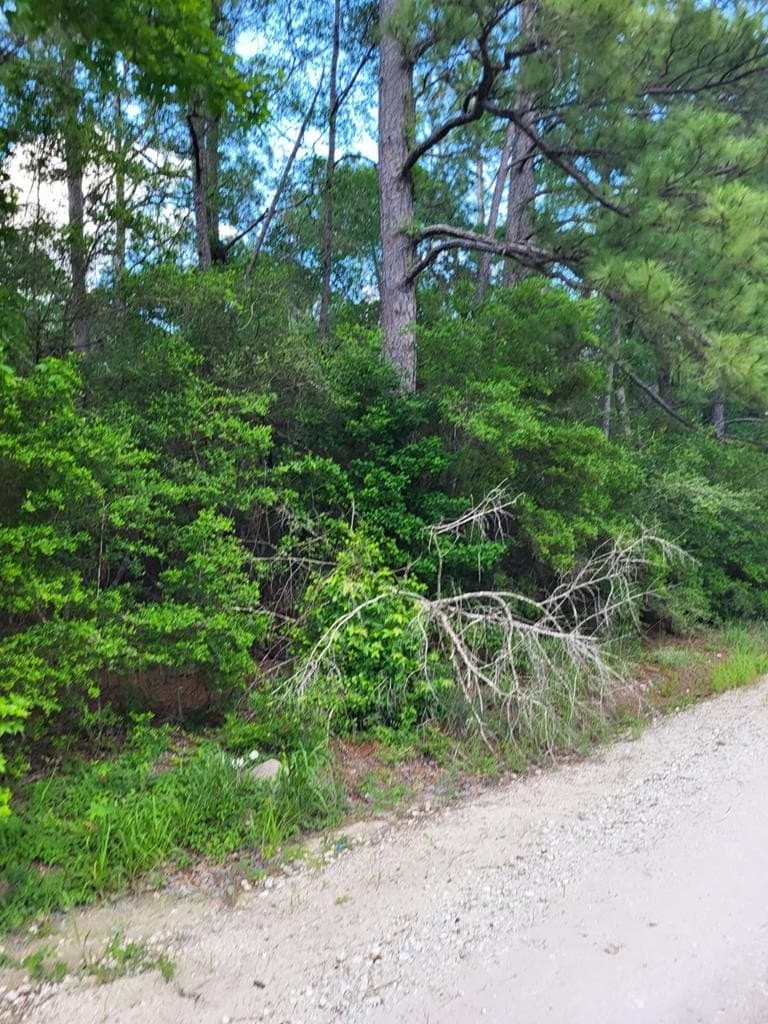 11.93 acres in Texas County gallery image 4