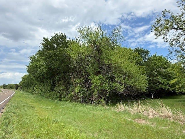 9 acres in Navarro County - photo 8