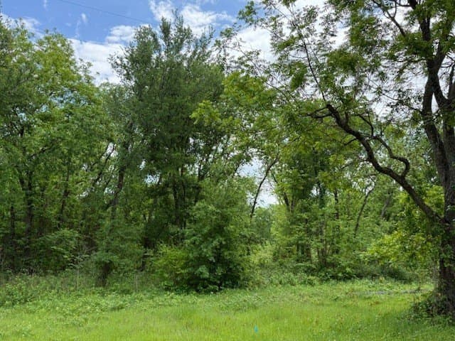 9 acres in Navarro County gallery image 3