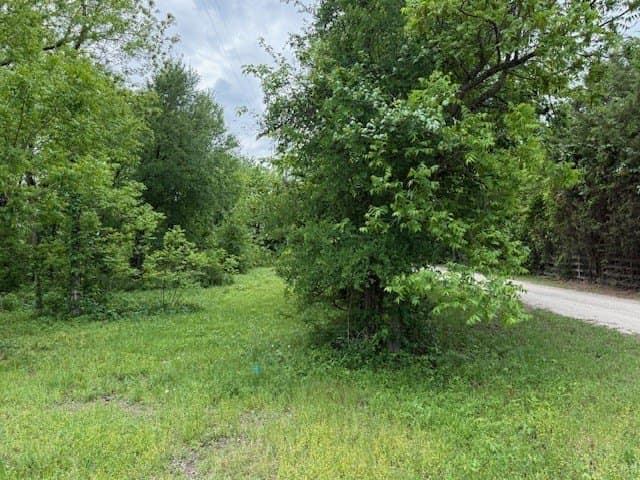 9 acres in Navarro County gallery image 2