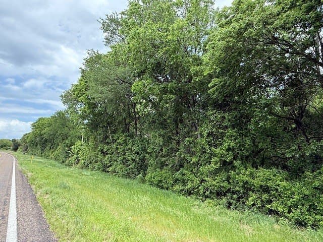 9 acres in Navarro County - photo 7