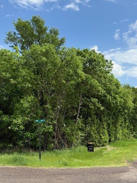 9 acres in Navarro County - photo 6