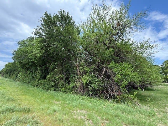 9 acres in Navarro County gallery image 4