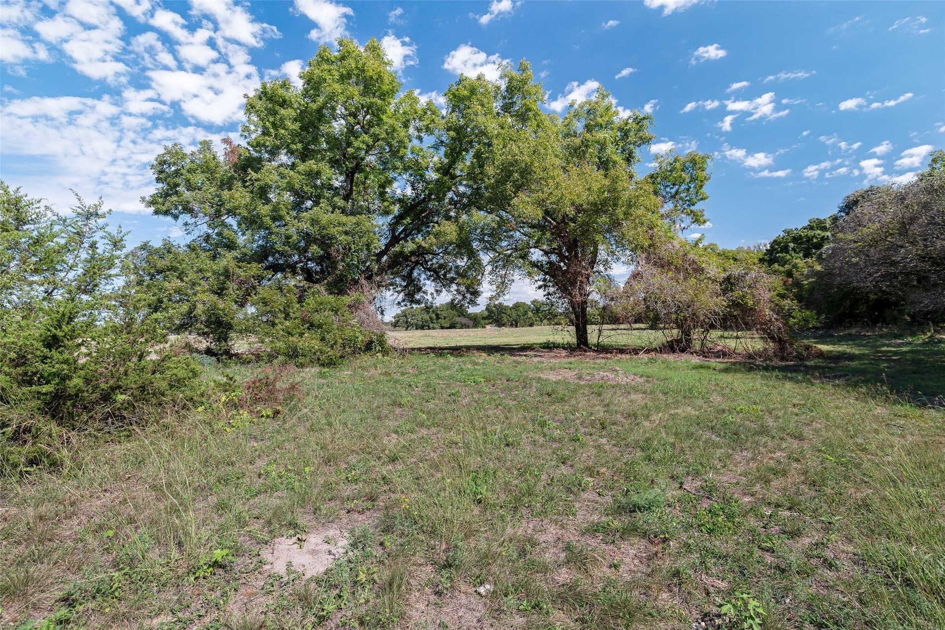 32.95 acres in Hood County gallery image 3