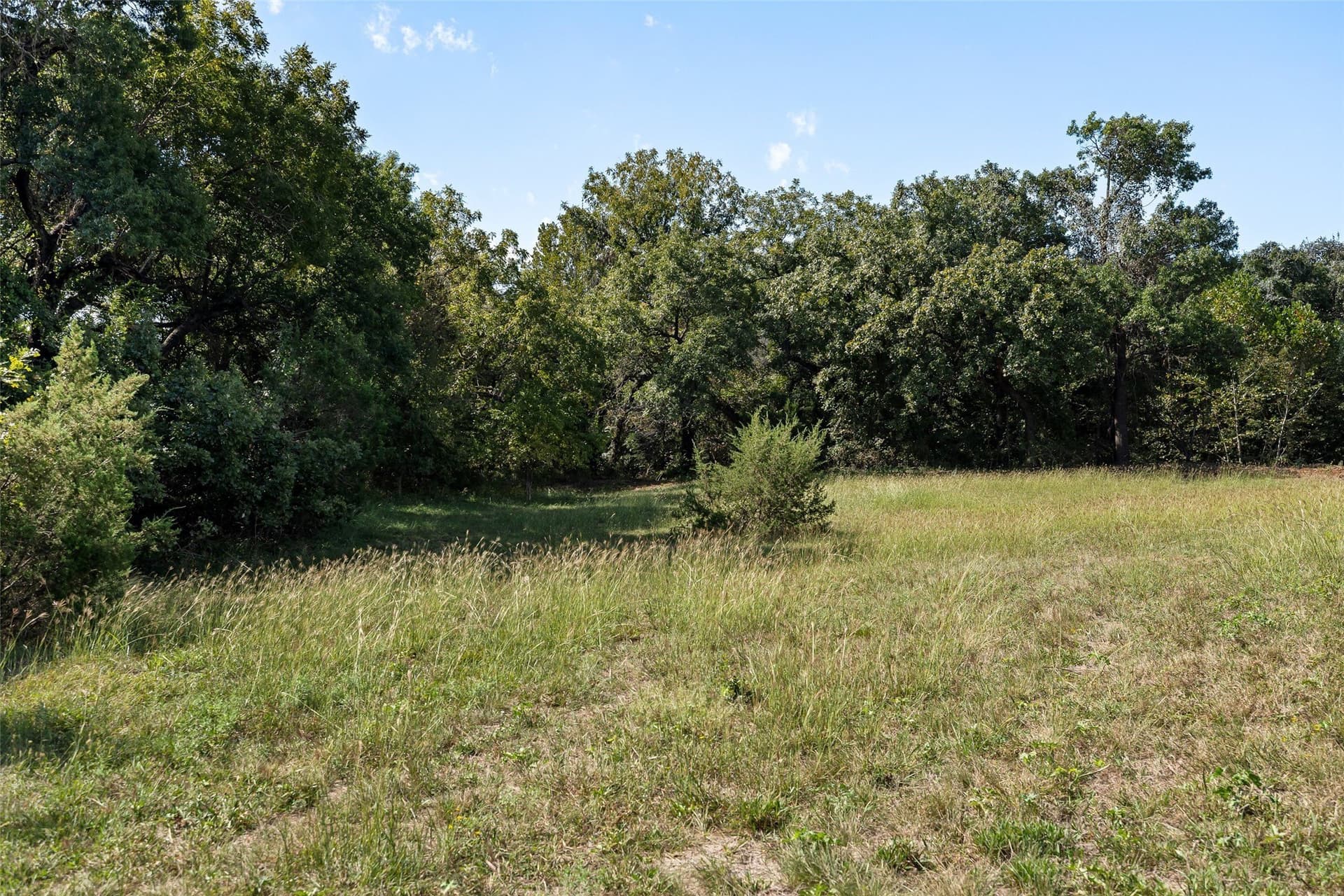 32.95 acres in Hood County featured view