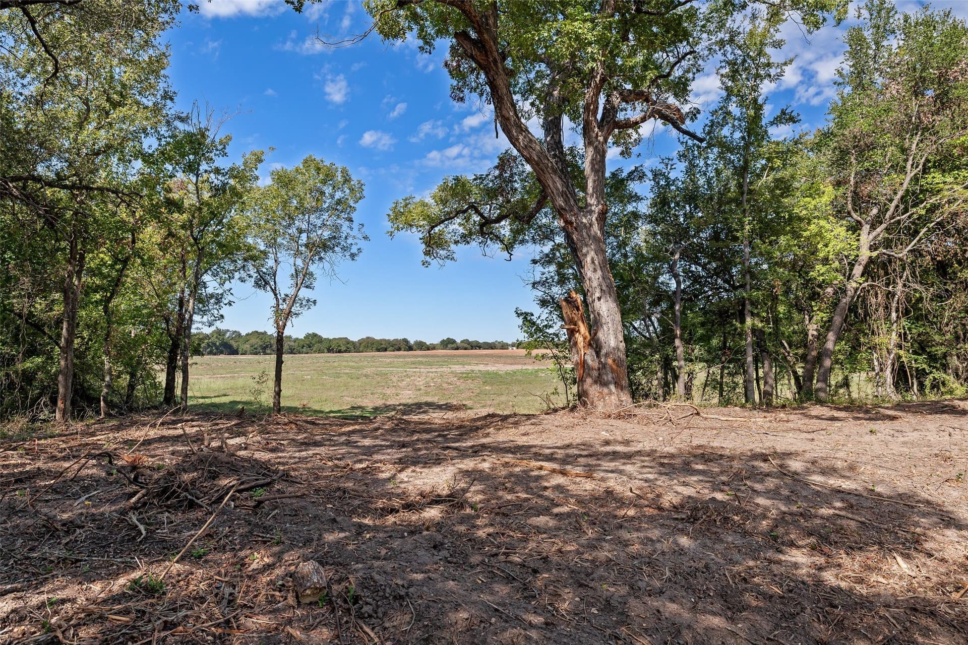 32.95 acres in Hood County - photo 13
