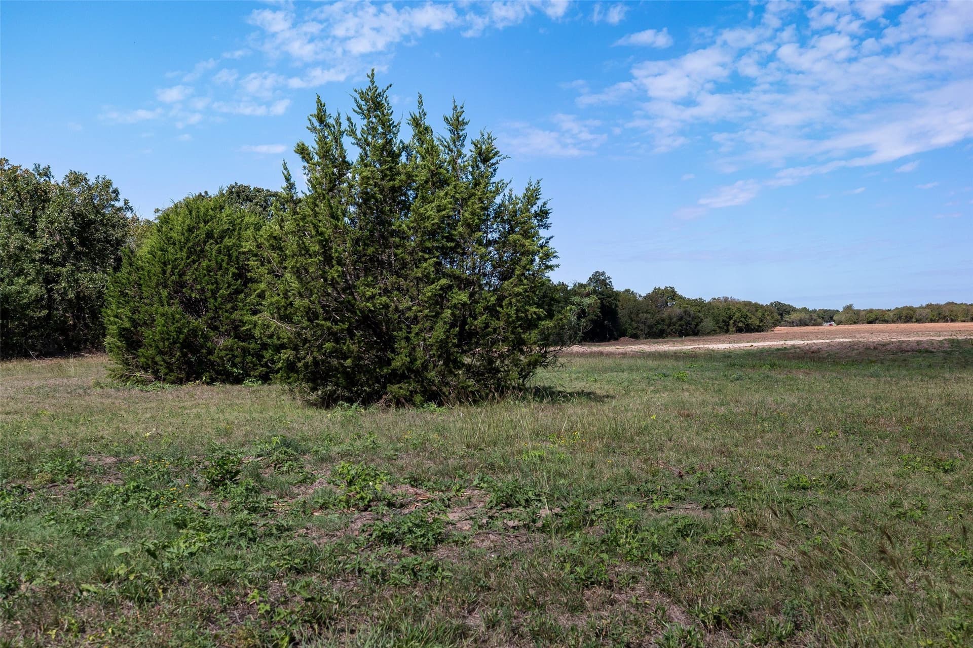 32.95 acres in Hood County gallery image 4