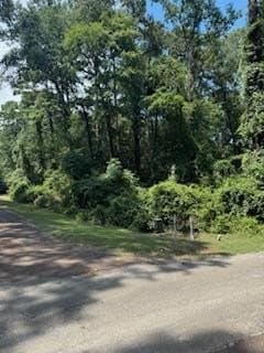 0.36 acres in Texas County - photo 2