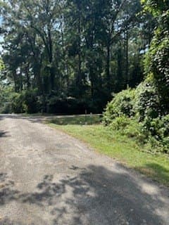 0.36 acres in Texas County - photo 4