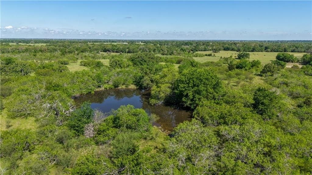 162.62 acres in Brazos County - photo 32
