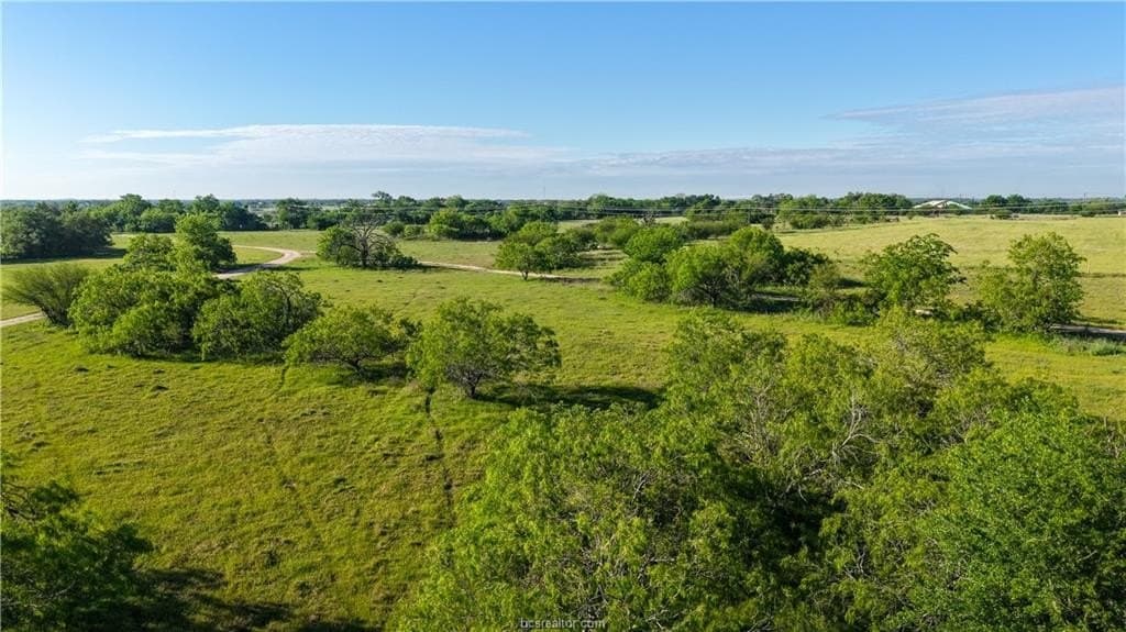 162.62 acres in Brazos County - photo 30