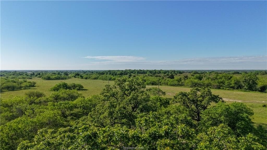 162.62 acres in Brazos County - photo 26
