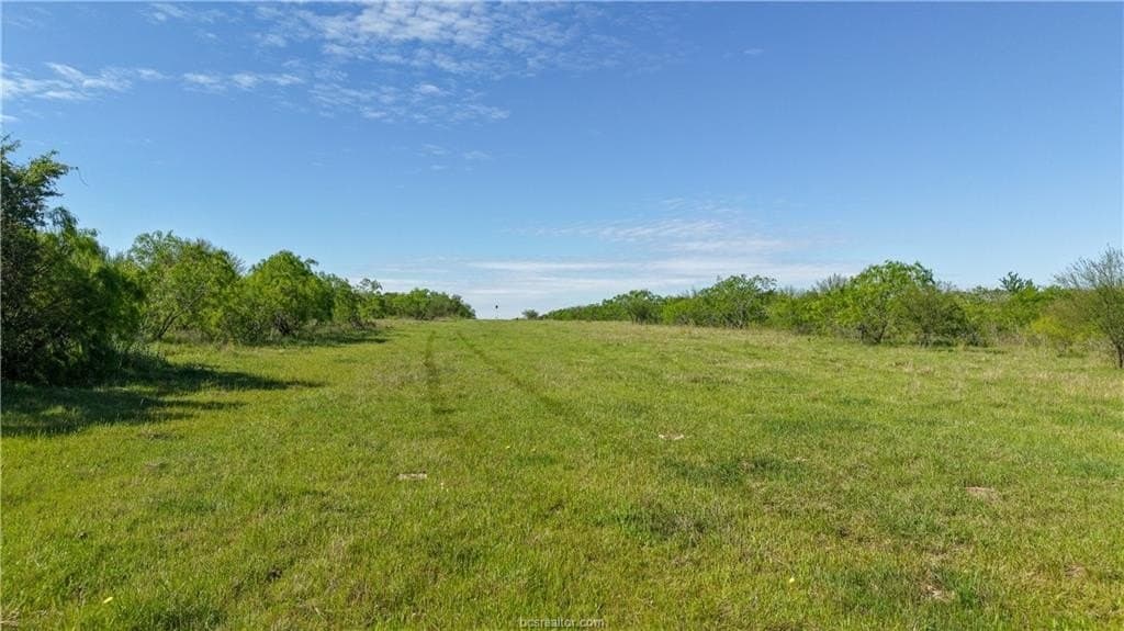 162.62 acres in Brazos County - photo 19