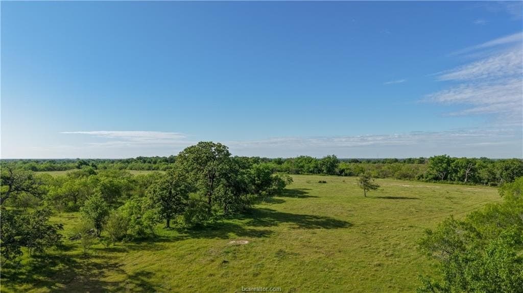 162.62 acres in Brazos County - photo 25